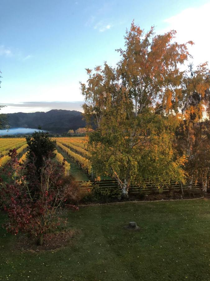 Vineyard Cottage In Blenheim On The Golden Mile Exterior foto